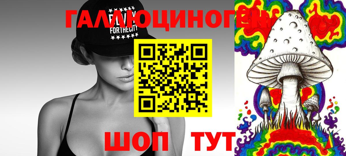 Псилоцибиновые грибы Psilocybe  Вход с VPN  Сокол 